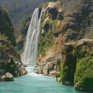 Meet your Posher, Yvonne